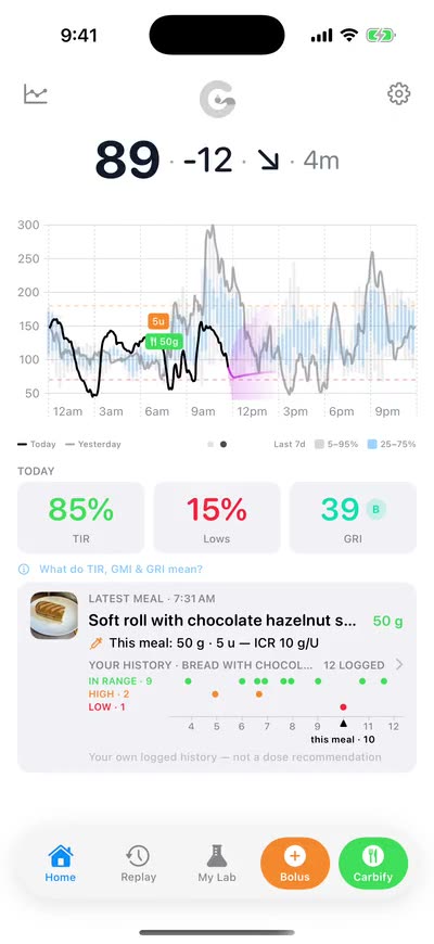 The Home graph showing the whole day, midnight to midnight